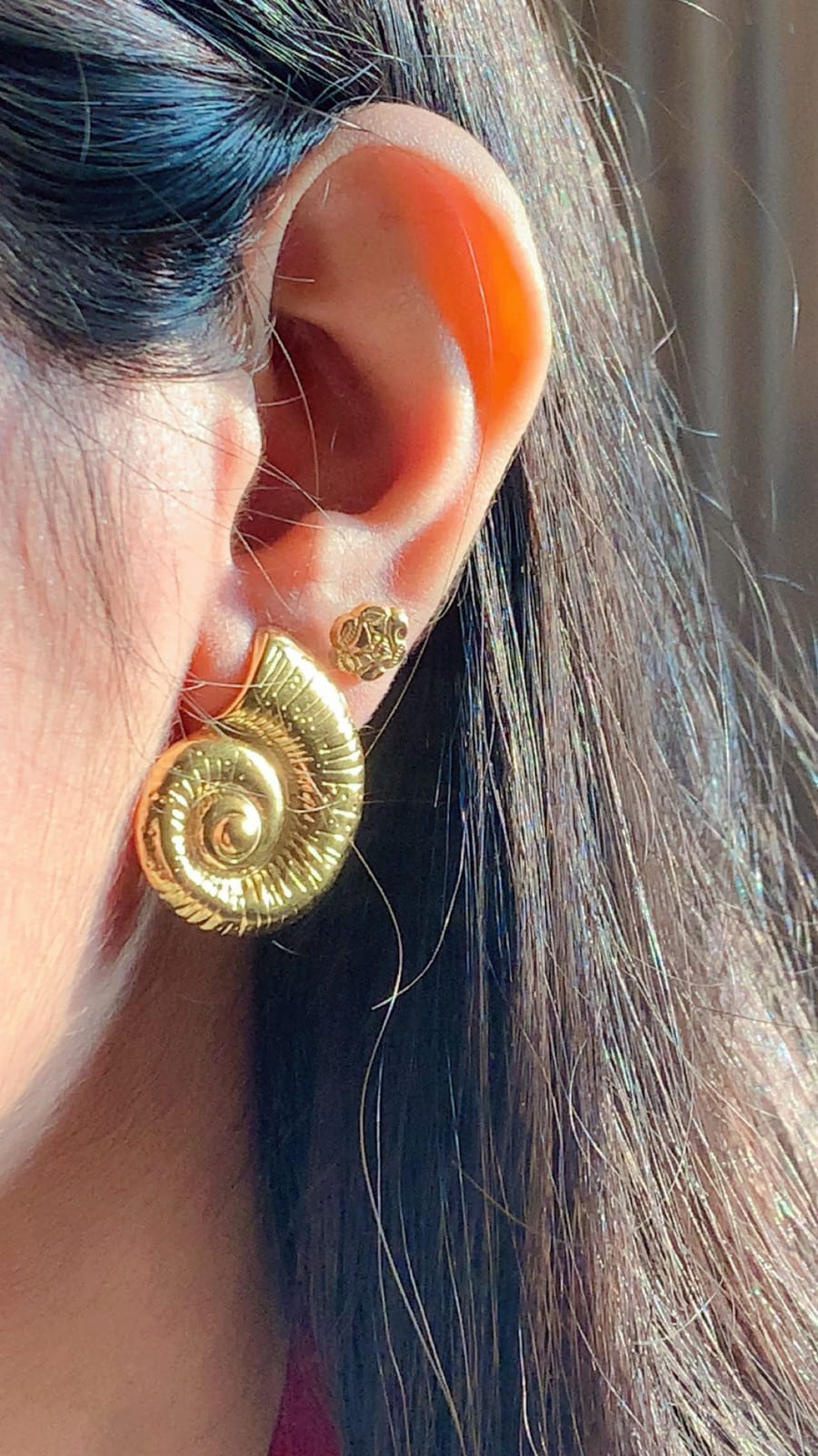 Gold Spiral Shell Stainless Steel Stud Earrings